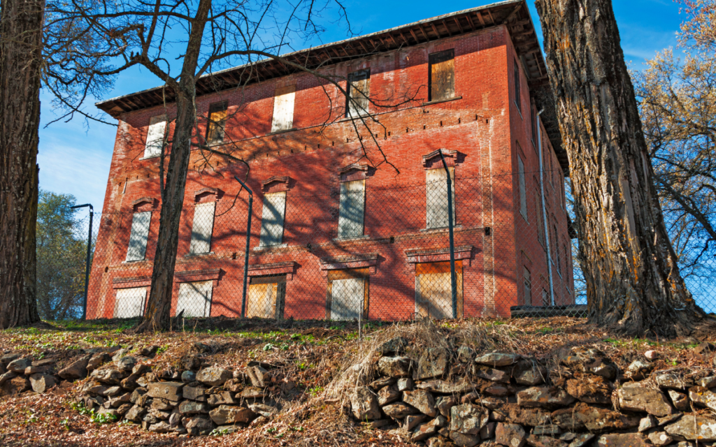 Vivid Designs Detailed Painting and Renovations.